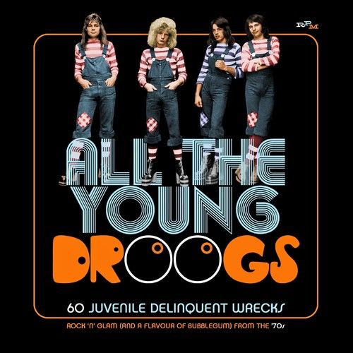 All The Young Droogs : 60 Juvenile Delinquent Wrecks.