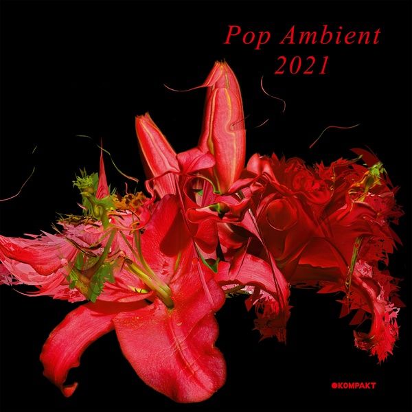 Pop Ambient 2021.
