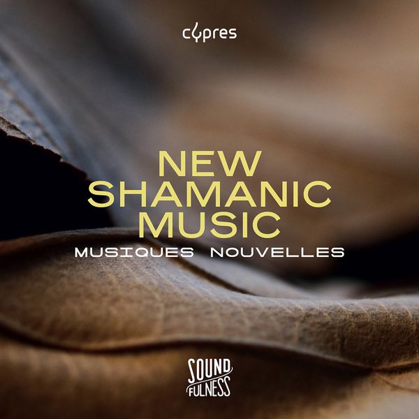 Soundfulness, Vol. 2 : New Shamanic Music.