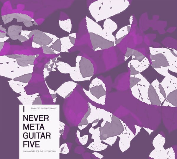 I Never Metaguitar Five.