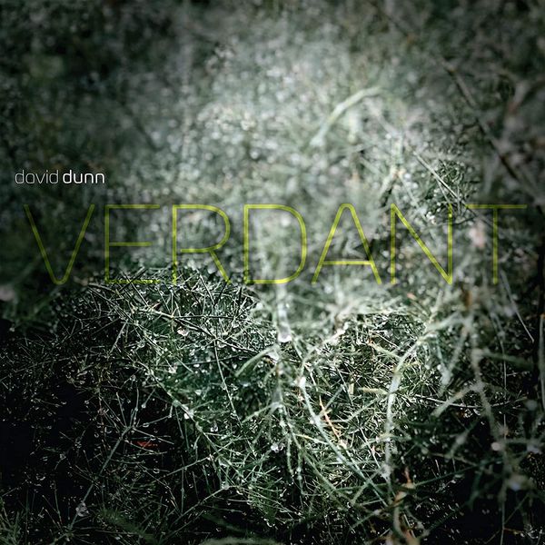Verdant.