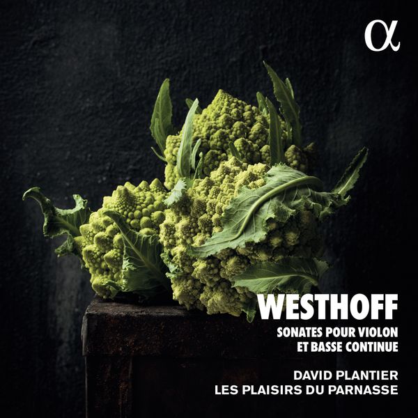 Sonates Pour Violon et Basse Continue / David Plantier, Violin.