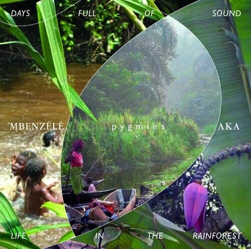 Days Full of Sound : Life In The Rainforest.