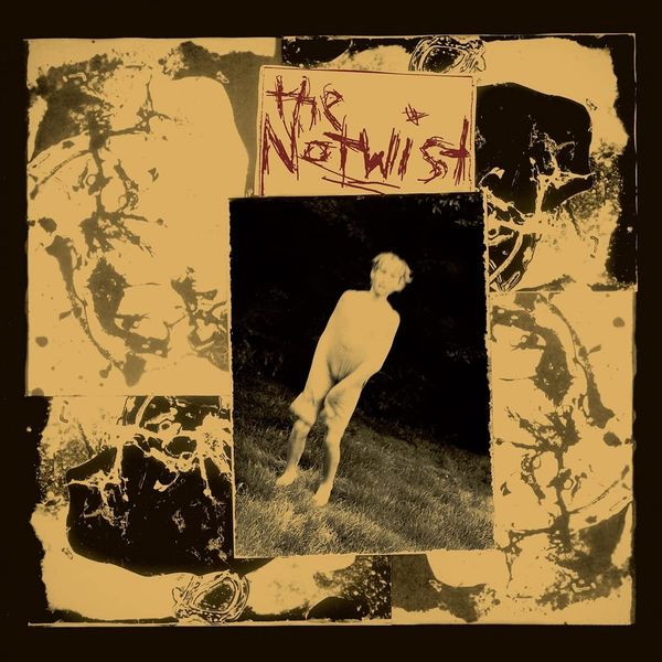 Notwist : 30 Year Anniversary Edition.