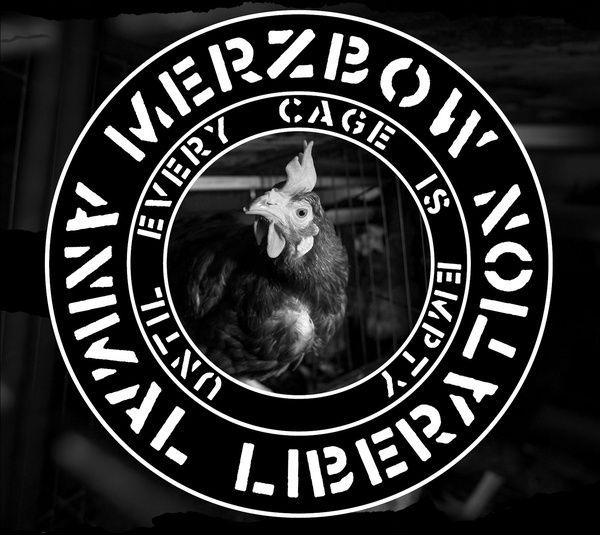 Animal Liberation : Until Every Cage Is Empty.