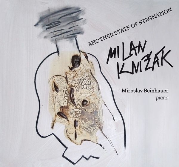 Another State of Stagnation : Piano Pieces / Miroslav Beinhauer, Piano.