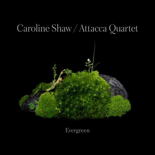 Evergreen / Caroline Shaw and The Attacca Quartet. [CD]