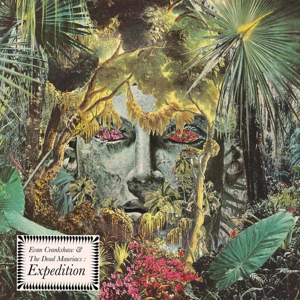Expedition / The Dead Mauriacs.
