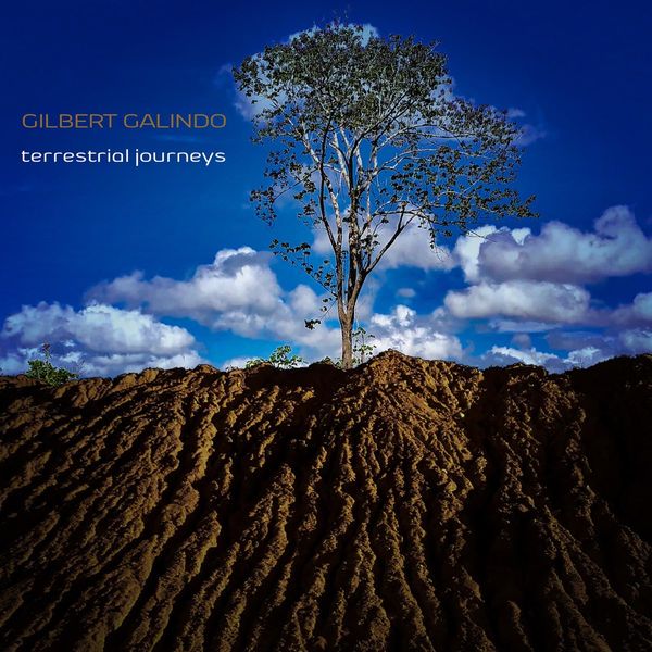 Terrestial Journeys. [CD]